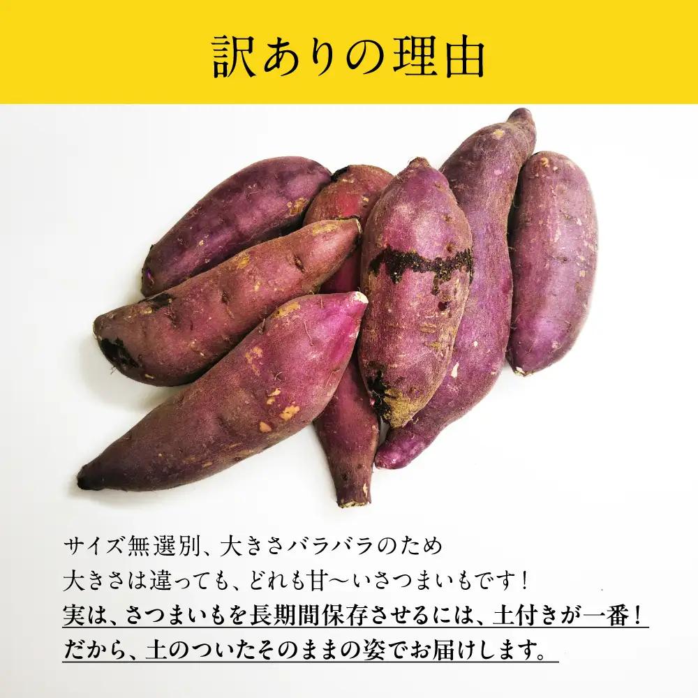 先行予約 訳あり さつまいも 8kg　さつまいも