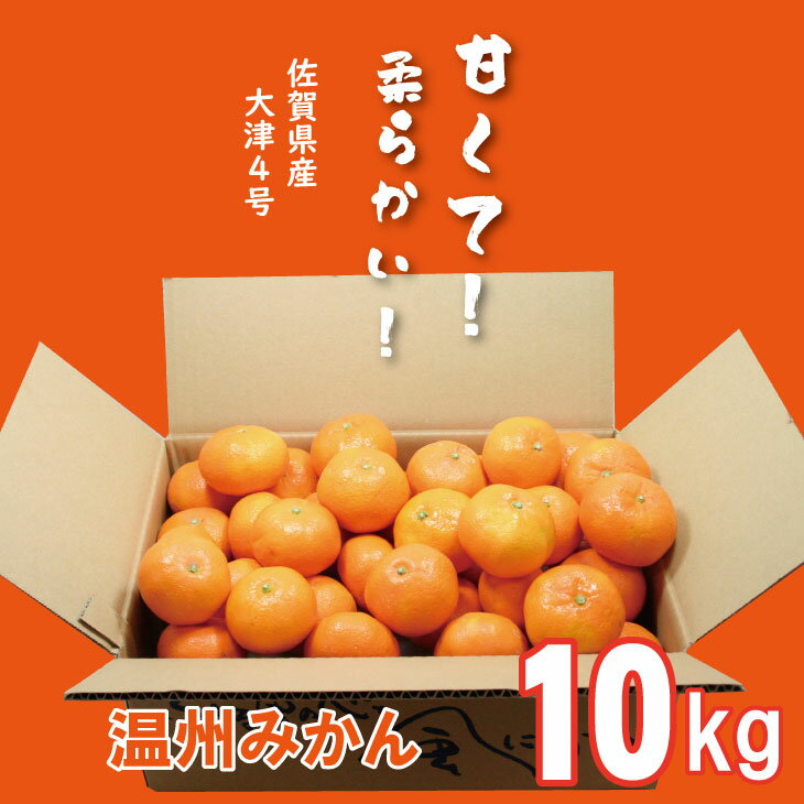 【ふるさと納税】【先行予約】 大好評！ ご家庭用 大津みかん（10kg）コタツで甘いみかん！柑橘 温州 【B180-016】