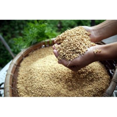 ふるさと納税 平群町 酵素玄米ご飯8個パック(長岡式) |  | 02