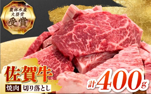 【12/15入金まで年内発送】【2度の農林水産大臣賞】佐賀牛 焼肉用 （カルビ・赤身） 400g 【田中畜産牛肉店】[HBH143]  / 佐賀牛 牛肉 精肉 肉 切り落とし 焼肉 焼肉切り落とし BBQ バーベキュー