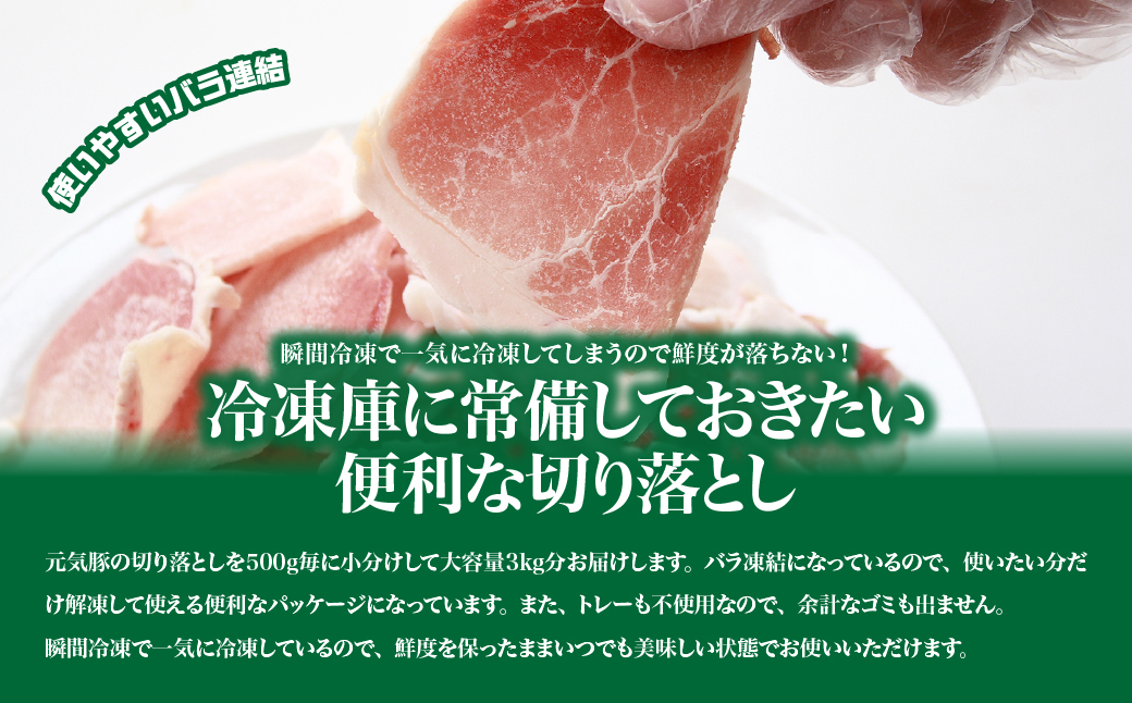 【小分けで便利】国産 元気豚 切り落とし 3kg(500g×6袋)　千葉県産三元豚　パラパラ凍結【配送不可地域：離島・北海道・沖縄県】 TAKB011