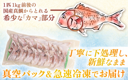 国産 真鯛カマ 約3kg (約750g×4パック) 大容量 無塩 冷凍【鯛 タイ たい マダイ 塩焼き 焼き魚 鯛めし 煮付け 朝食 魚介類 真空パック】[m78-a008]