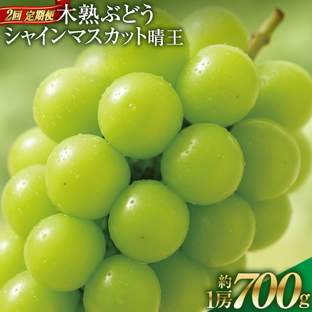 【ふるさと納税】【2回定期便】木熟ぶどう ハレノシャイン シャインマスカット晴王 1回あたり1房（約700g） ぶどう ブドウ 葡萄 フルーツ くだもの 果物 果実 デザート 冷蔵 岡山県産 国産 岡山県 倉敷市 送料無料 【2026年9月上旬発送開始】