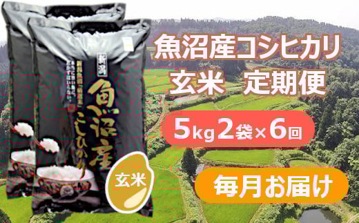 【先行予約】【令和7年産 新米玄米】【6か月定期便(毎月全6回)】魚沼産コシヒカリ棚田米 玄米10kg(5kg×2袋)×6回(毎月お届け)※2025年9月下旬以降より順次発送予定 佐藤農場 【0018-0008DB00-01】