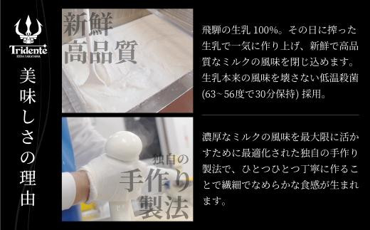 飛騨生乳100％ モッツァレラ1個 & リコッタ3個セット | セット チーズ 冷蔵 濃厚 低温殺菌 乳製品 おいしい 人気 チーズ工房トリデンテ LF012