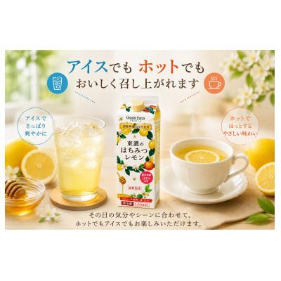 ふるさと納税 土岐市 東濃のはちみつレモン　2本 |  | 01