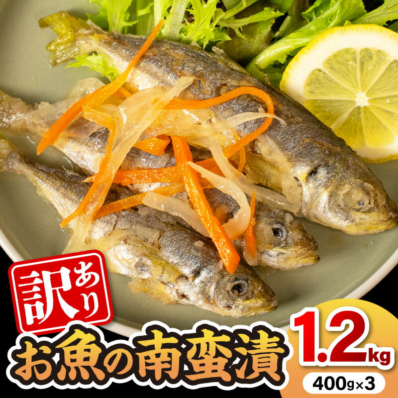 【ふるさと納税】魚 南蛮漬 400g × 3 計 1.2kg 真空パック セット 訳あり アジ 冷凍 便利 おかず おつまみ 酒の肴 魚介類 惣菜 ご飯のお供 簡単調理 時短 食品 加工品 お取り寄せ お取り寄せグルメ 宮崎県 延岡市 送料無料