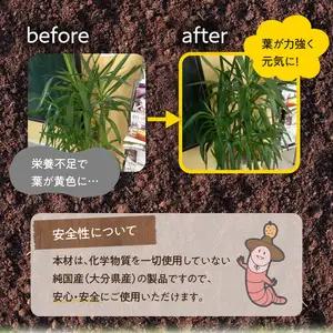 植物活性材　みみっこ（原液）10L R14155