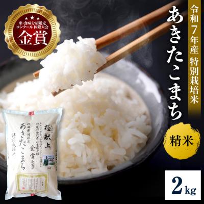 ふるさと納税 湯沢市 【令和7年産】特別栽培米 あきたこまち 精米 2kg[M2101]