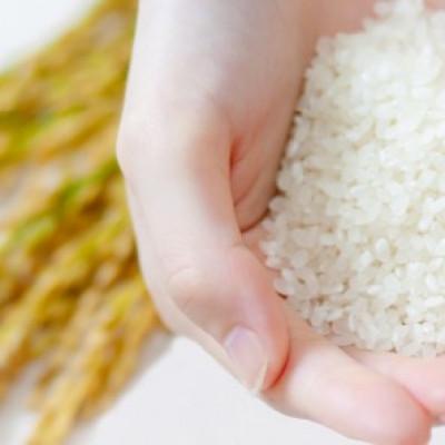 ふるさと納税 高梁市 【石原果樹園】備前乙女米　白米2Kg×1袋・玄米2kg×1袋(BOHB02-2) |  | 01