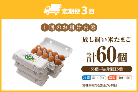 【3か月定期便】放し飼い米たまご55個+5個保証（計60個）農家直送 新鮮 卵 タマゴ 赤卵 玉子 鶏卵 朝食 夕食 夜食 朝ごはん たまご焼き オムレツ 卵ご飯 料理 濃厚 飼料にこだわった 卵かけ