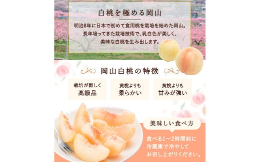 白桃 8玉 （2kg以上） 等級 ： ロイヤル 化粧箱入り 【2026年7月上旬～8月上旬迄発送予定】 ／ 桃 もも モモ はくとう 果物 くだもの フルーツ 果実 デザート 冷蔵