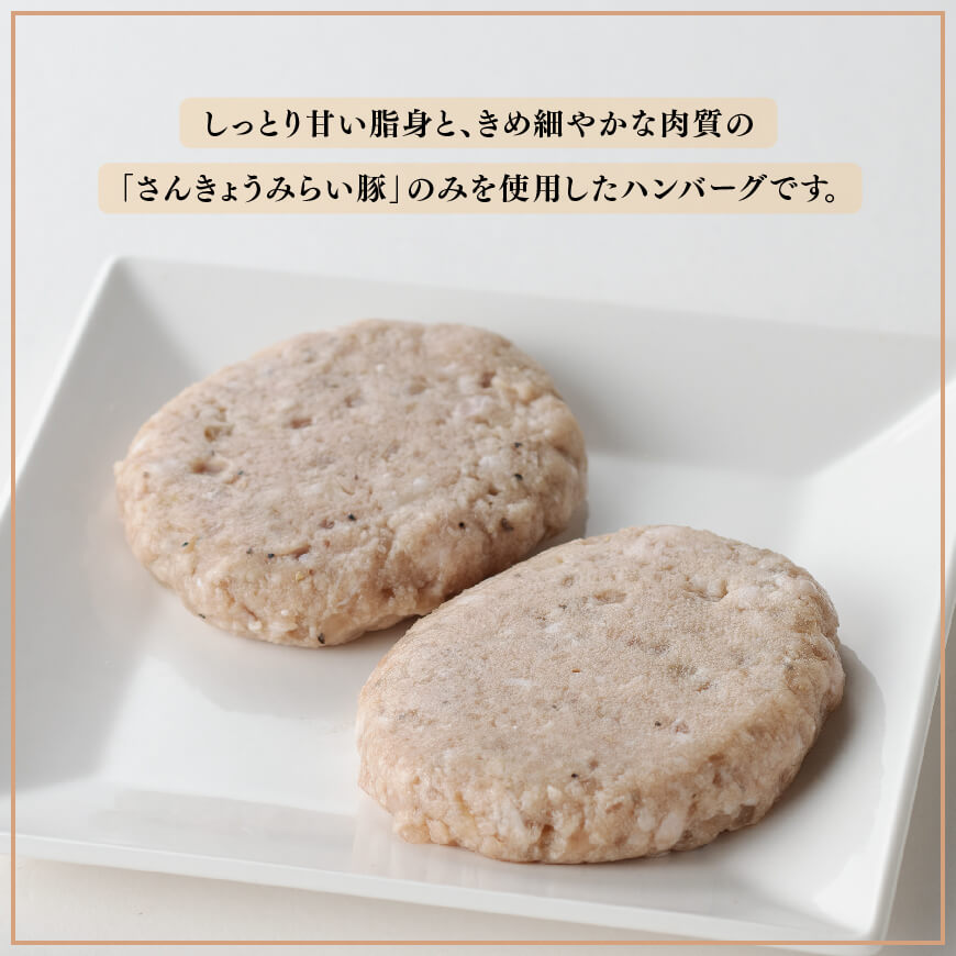 【令和8年10月発送】さんきょうみらい豚 ”ふんわりやわらか” ハンバーグセット(90g×11P、ソース200g付) 【 豚肉 国産 肉 豚 おかず 惣菜 ハンバーグ 】