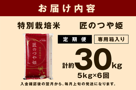 【令和7年産】【定期便】特別栽培米「匠のつや姫」 5kg×6回コース＜7月上旬より配送＞ 定期便 定期便 米 コメ 令和7年産 5キロ 島根 県産 新米 精米 玄米 お米 精米 白米 ごはん ご飯 新