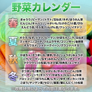 【 野菜定期便 】 野菜定期便詰め合わせ