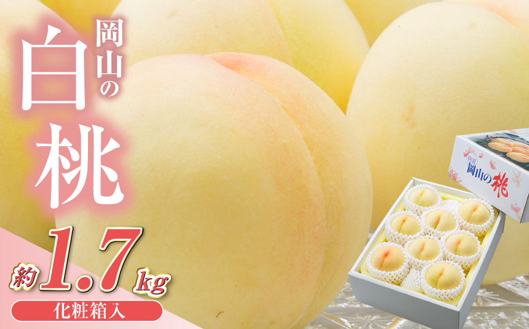 
            【先行予約】岡山県産　白桃8玉（1.7kg以上）化粧箱入り【2026年7月上旬～8月上旬まで順次発送予定】【もも 桃 白桃 果物 フルーツ 国産 人気 おすすめ 岡山県 倉敷市】
          