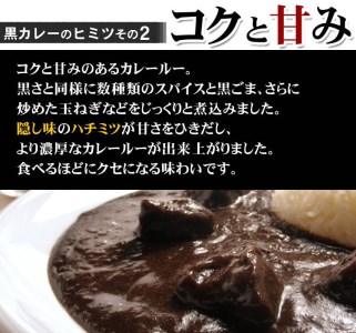 牛タン黒カレー（200ｇ×10パック）（カレー レトルトカレー レトルトカレーセット 牛タンカレー 牛タン入りカレー 黒カレー 黒ゴマカレー スパイスカレー こだわりカレー 本格カレー 人気カレー 大