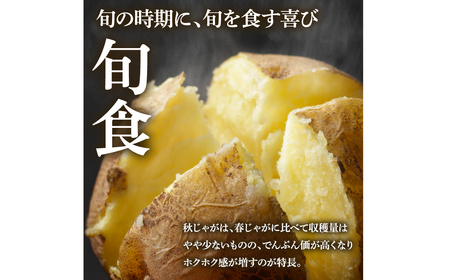 【四国一小さなまちのじゃがいも】★令和５年１２月中旬発送開始★ 大野台地で採れた『 令和５年産 秋じゃが 』 １０ｋｇ　～ 訳あり ～