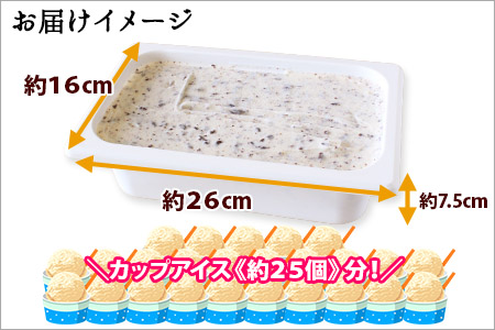 598.アイスクリーム チョコチップ ジェラート チョコ 業務用 2リットル 2L アイス 大容量  手作り 北海道 弟子屈町