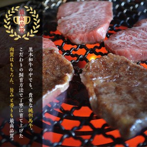 Y119 田村牛 特選ロースすきやき＆ステーキセット