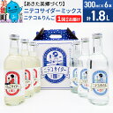 【ふるさと納税】＜お中元 ギフト＞ニテコサイダーミックス 300ml×6本セット 2種（ニテコサイダー3本、りんごサイダー3本）あきた美郷づくり