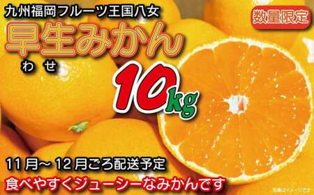 【先行受付：2024年11月発送開始】みかん「早生」約１０ｋｇ｜＜配送不可：北海道・沖縄・離島＞　072-111