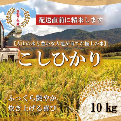 ふるさと納税 伯耆町 令和7年 鳥取県産　山崎農園こしひかり10kg