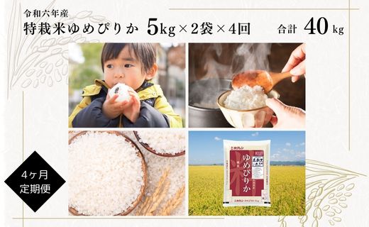 日経トレンディ「米のヒット甲子園」大賞受賞『特栽米ゆめぴりか5kg×2』定期便！毎月1回・計4回お届け