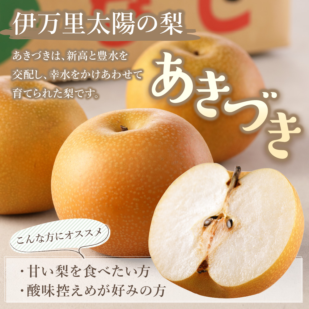 【2025年産先行予約】伊万里梨「あきづき」 約5kg B165