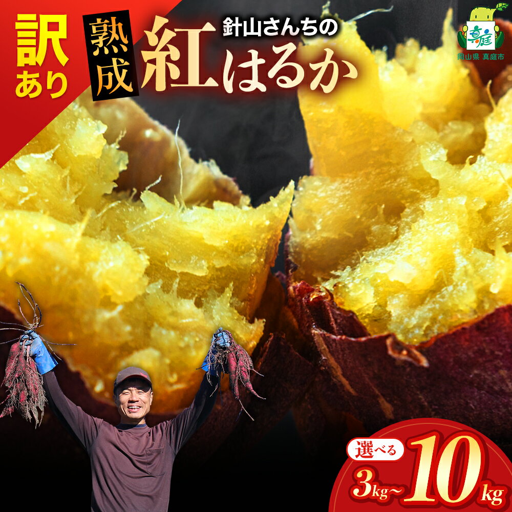 【ふるさと納税】【訳あり】針山さんちのさつまいも 紅はるか / さつまいも 紅はるか 岡山県 野菜 真庭市 湯原