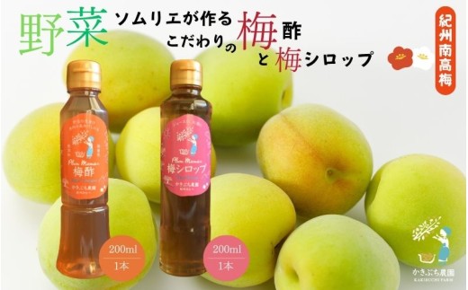 野菜ソムリエ仕込み 梅酢・梅シロップセット 紀州南高梅使用 200ml×各1本 kkbc004