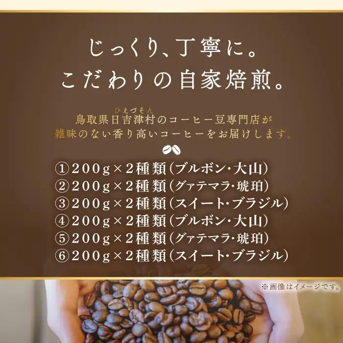 【6回定期便】【コーヒー豆】極上自家焙煎コーヒー　400g×6回【ブルボン 大山 グァテマラ 琥珀 スイート ブラジルブレンド 定期コース 6回 半年 頒布会 コーヒー 珈琲 自家 焙煎 豆 コーヒー