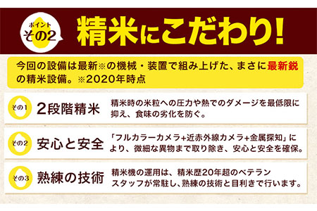 大容量 米 令和5年産 ひのひかり 白米 10kg 《7-14営業日以内に出荷予定(土日祝除く)》5kg×2袋 熊本県産 米 精米 ひの 熊本県 玉東町