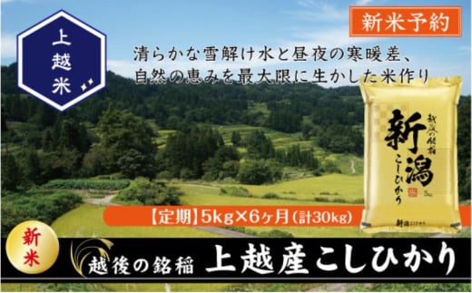 令和7年産 先行予約 新潟県上越産こしひかり 精米 5kg 6か月定期便 上越市 米 コメ コシヒカリ