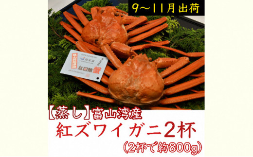 
                  【9-11月出荷】蒸し紅ズワイガニ 2杯 ｜ 甲殻類 海の幸 海鮮 蒸し加工 水揚げ 後すぐ 旨味 凝縮 晩酌 お酒 お供 あて 肴 つまみ 富山県産 魚津市産 ※2025年9月下旬～11月下旬頃に順次発送予定 ※北海道・沖縄・離島への配送不可
                