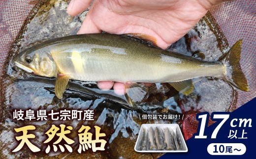 
                  岐阜県産 天然鮎 10尾以上 (17cm以上) 七宗町産 冷凍 鮎 あゆ アユ 直送 天然 魚 川魚
                
