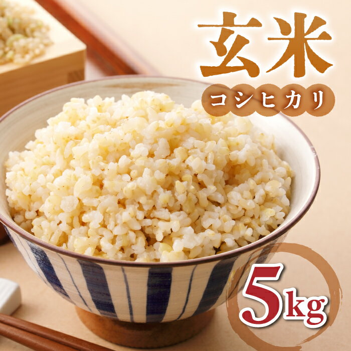 【ふるさと納税】【小田農園】冷めても美味しいコシヒカリ　玄米5kg　｜最短4〜7日程度でお届け　※着日指定不可