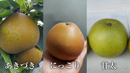 【 先行予約 】 梨 3kg 令和5年8月 上旬 より 発送開始 ナシ なし 果物 フルーツ デザート 秋  茨城県 はつまる 夏しずく 幸水 豊水 あきづき 恵水 甘太 にっこり