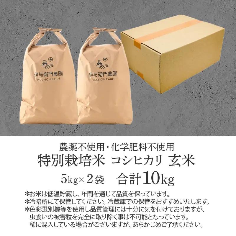 【先行予約】【令和8年産 新米】伊与衛門農園のコシヒカリ 玄米 10kg 特別栽培米 5kg×2袋 化学肥料不使用 ＜温度と湿度を常時管理し新鮮米を出荷！＞／ 高品質 鮮度抜群 福井県あわら産 ブラン