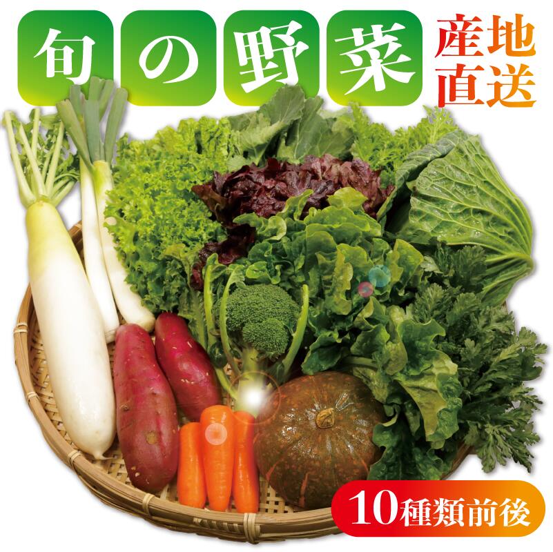 【ふるさと納税】 野菜詰め合わせセット 8〜10種類 季節の野菜 やさい トマト キャベツ 大根 人参 にんじん サラダ 小松菜 かぶ ほうれん草 ブロッコリー ミニトマト 野菜 野菜セット 新鮮野菜 朝採れ 産地 産地直送 畑 農園 農家 旬な野菜 千葉県 銚子市 孝農園