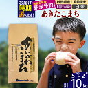 【ふるさと納税】※令和6年産 新米予約※秋田県産 あきたこまち 10kg【白米】(5kg小分け袋) 【1回のみお届け】2024産 お届け時期選べる お米 藤岡農産