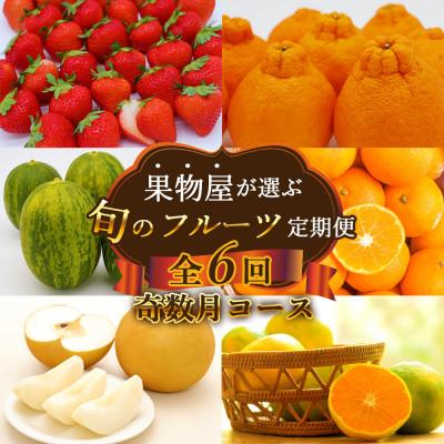 ふるさと納税 南島原市 【発送月固定定期便】果物屋が選ぶ旬のフルーツ定期便 奇数月発送コース全6回