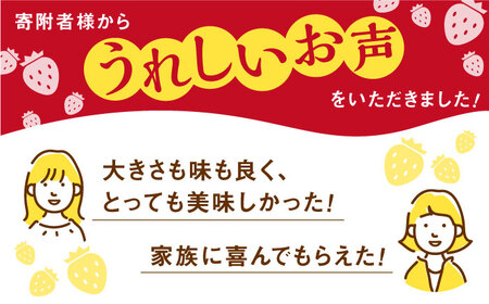 【先行予約 2027年2月～発送】【2回定期便】いちごさん 240g×2パック いちご