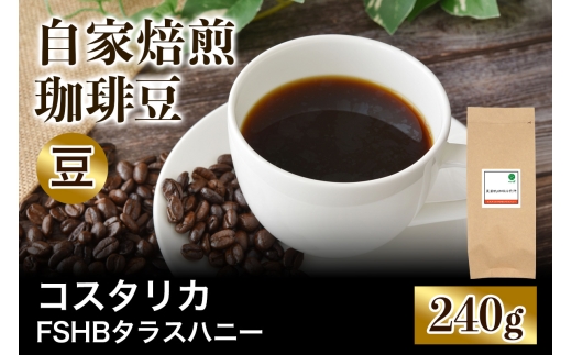 ★注文後に焙煎★自家焙煎珈琲豆 コスタリカ FSHB ラクティック アナエロビック タラス ハニー 中深煎り 240g【豆のまま】｜珈琲 コーヒー 焙煎 [0462]