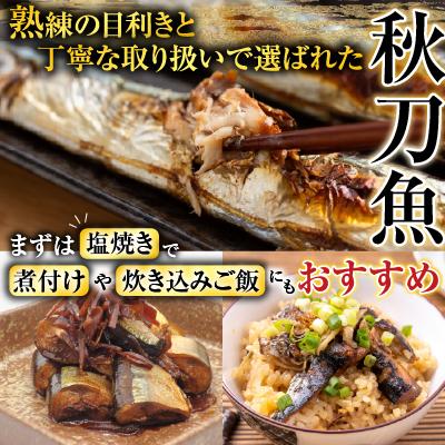 ふるさと納税 根室市 冷凍生さんま5尾×2P・ほたて貝柱200g×1Pセット A-76016 |  | 01