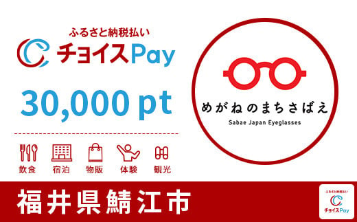 
鯖江市チョイスPay 30,000pt（1pt＝1円）【会員限定のお礼の品】
