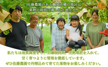【令和8年産先行予約】　庄内柿　M～Ｌ　約3kg　佐藤農園