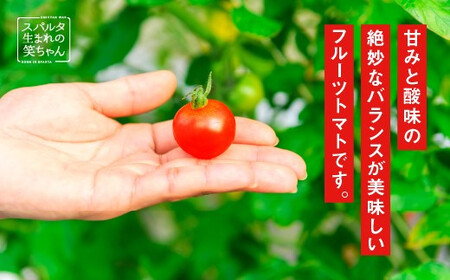 【先行予約】【ギフト】スパルタ生まれの笑ちゃんトマト(200g×4パック入) GC-1 【11月中旬以降順次発送】 先行予約 先行受付 トマト 産地直送 フルーツトマト フルティカ
