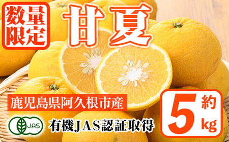 ＜先行予約受付中！2026年2月上旬以降発送予定＞数量限定！有機JAS 甘夏(約5kg) 国産 果実 果物 フルーツ 柑橘 デザート 期間限定 有機栽培【中村農場】akn084-01