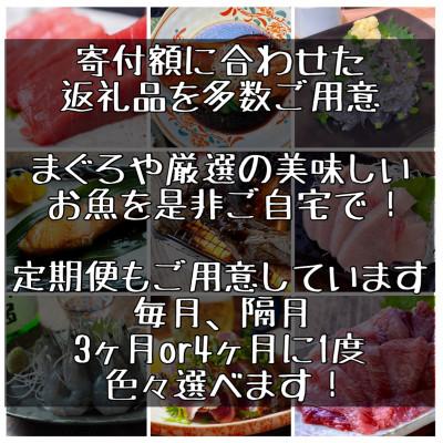 ふるさと納税 小田原市 【毎月定期便】朝食干物セット【松】小田原、箱根のホテル、旅館で使用!【神奈川県小田原市早川】全2回 |  | 03
